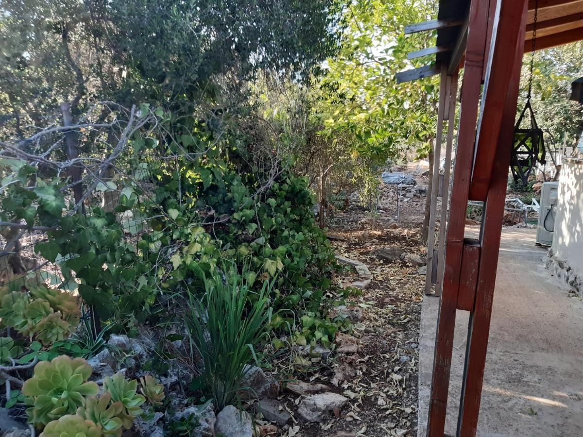 בקתת עץ בחורש במנות - דום גיאודזי - Wooden Cabin In Manot Esterno foto