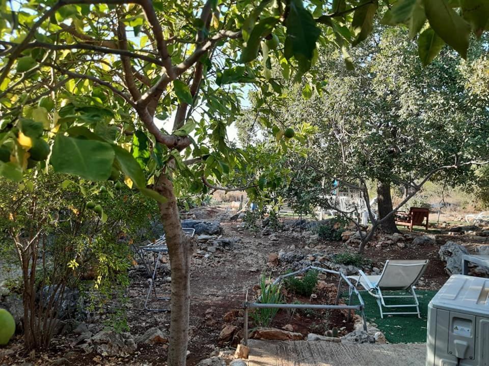 בקתת עץ בחורש במנות - דום גיאודזי - Wooden Cabin In Manot Esterno foto