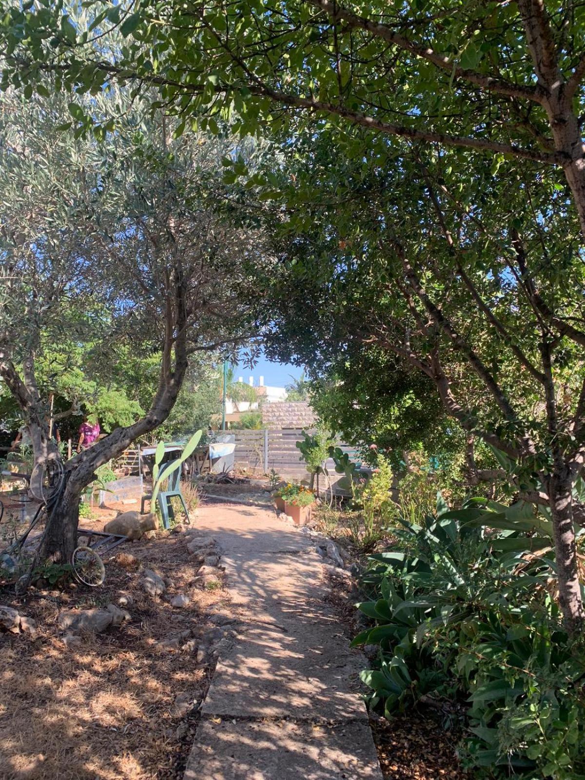 בקתת עץ בחורש במנות - דום גיאודזי - Wooden Cabin In Manot Esterno foto