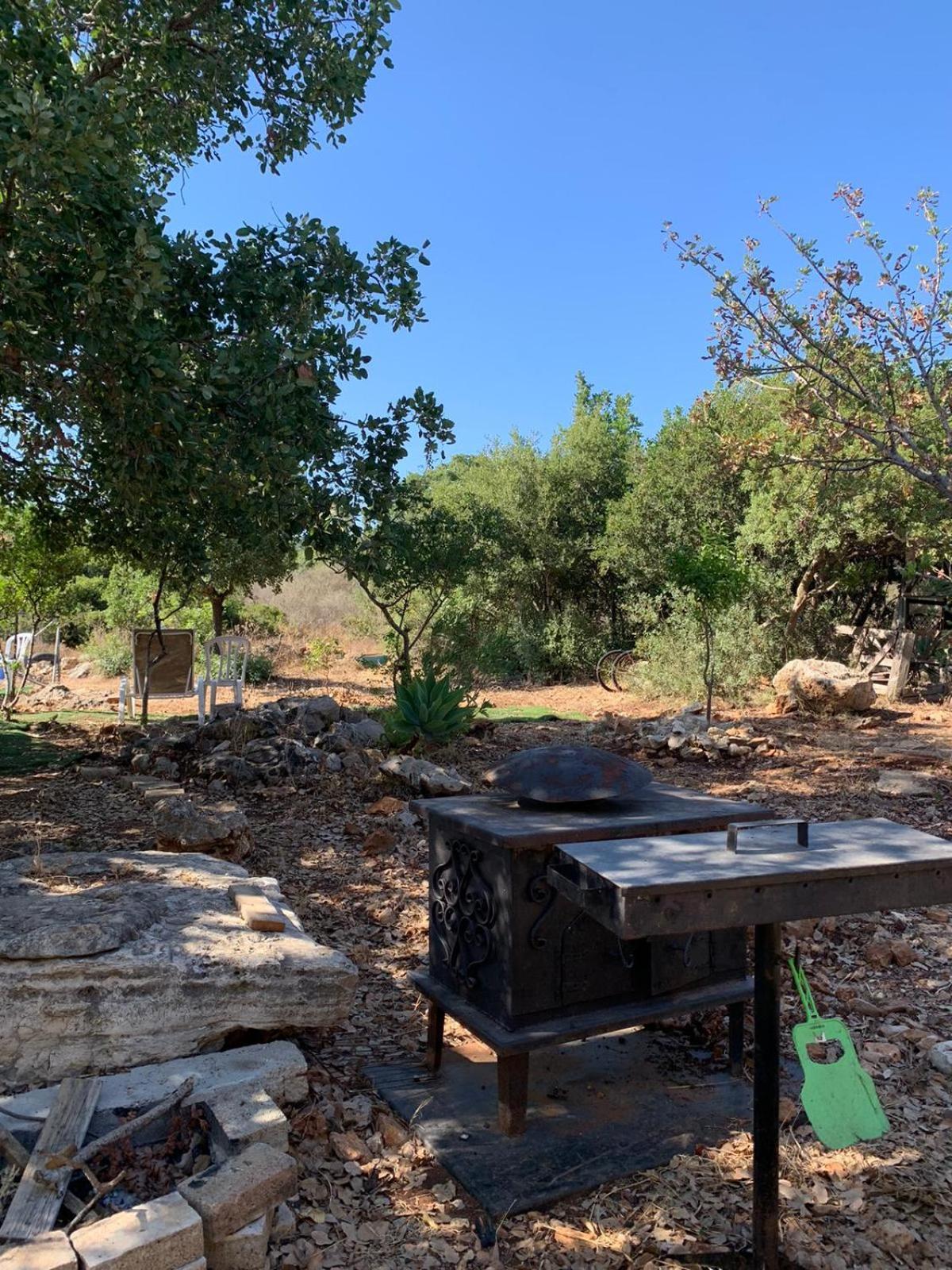 בקתת עץ בחורש במנות - דום גיאודזי - Wooden Cabin In Manot Esterno foto